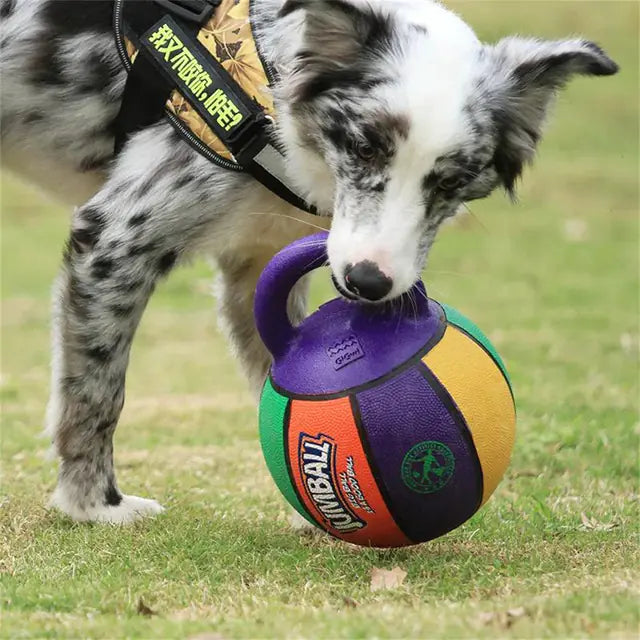 Active Pet Basketball and Football Dog Toy