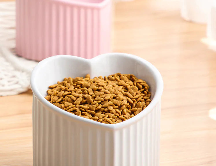 Raised Ceramic Pet Bowl with Slanted Design for Cats