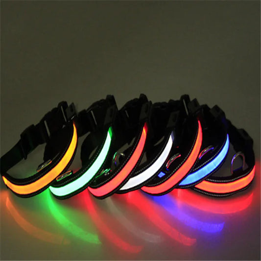 Fluorescent Dog Collar for Nighttime Safety