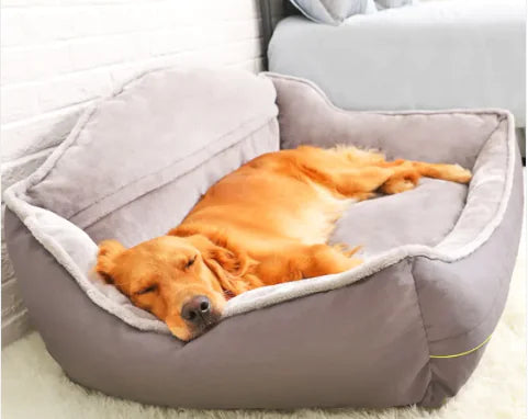 Sofa Dog and Pet Bed